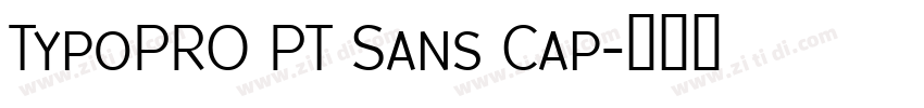 TypoPRO PT Sans Cap字体转换
